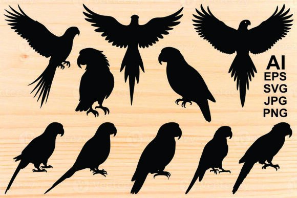 Set of Black Silhouette of Parrot: A Designer's Visual Toolkit